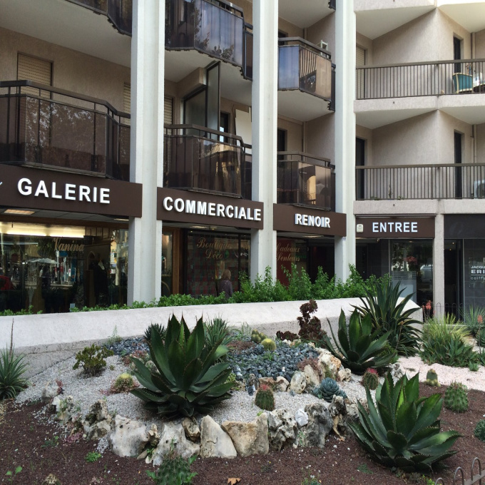 Vente Immobilier Professionnel Local commercial Cagnes-sur-Mer (06800)